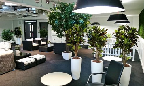 14310405_1117081288374804_928829727015441716_o