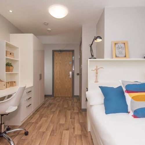 18813422_652075924991867_504819615464977929_n