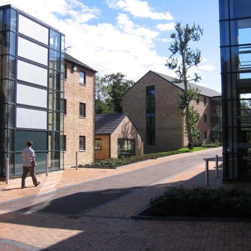 Queens-Elms-2-scaled